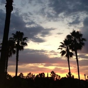 Meet your Posher, Thisha